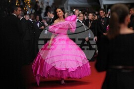 France Cannes 2026 Paper Tiger Red Carpet