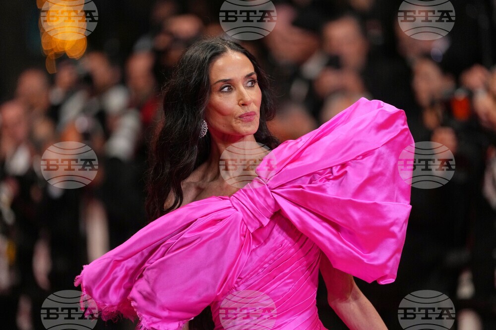 France Cannes 2026 Paper Tiger Red Carpet