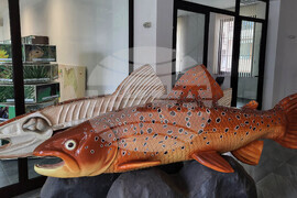 Самоков - Посетителски информационен център - Национален парк "Рила"