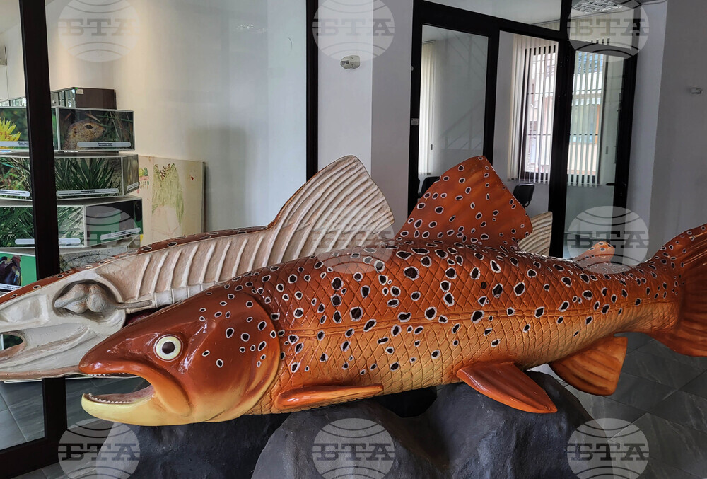 Самоков - Посетителски информационен център - Национален парк "Рила"