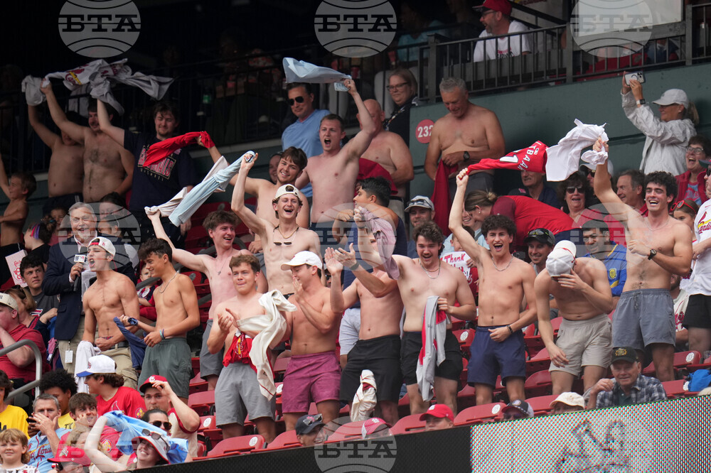 Royals Cardinals Shirtless Fans Baseball