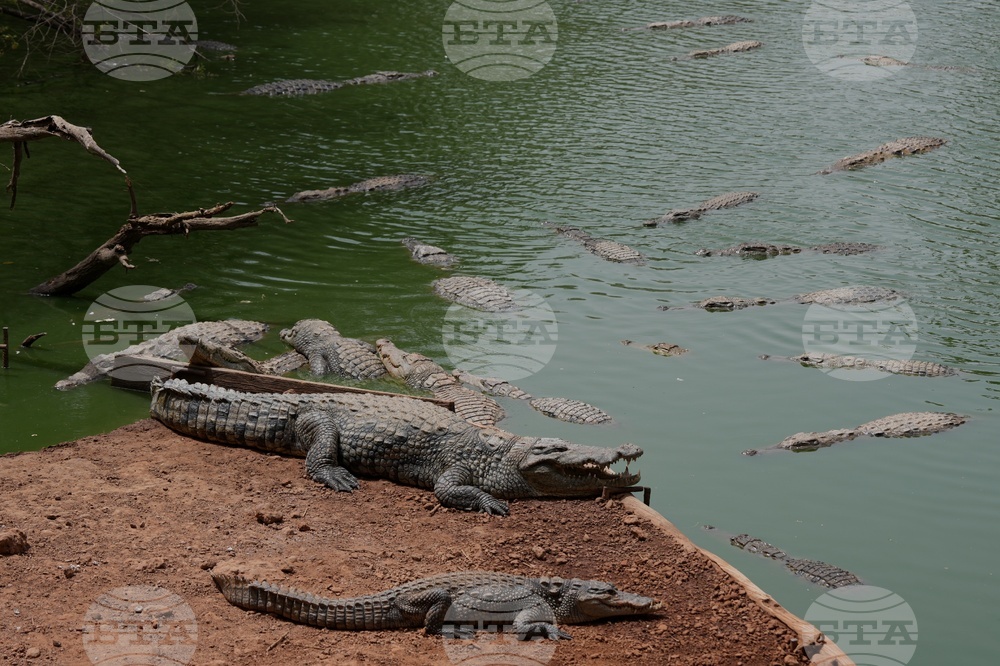 Senegal Daily Life Wildlife