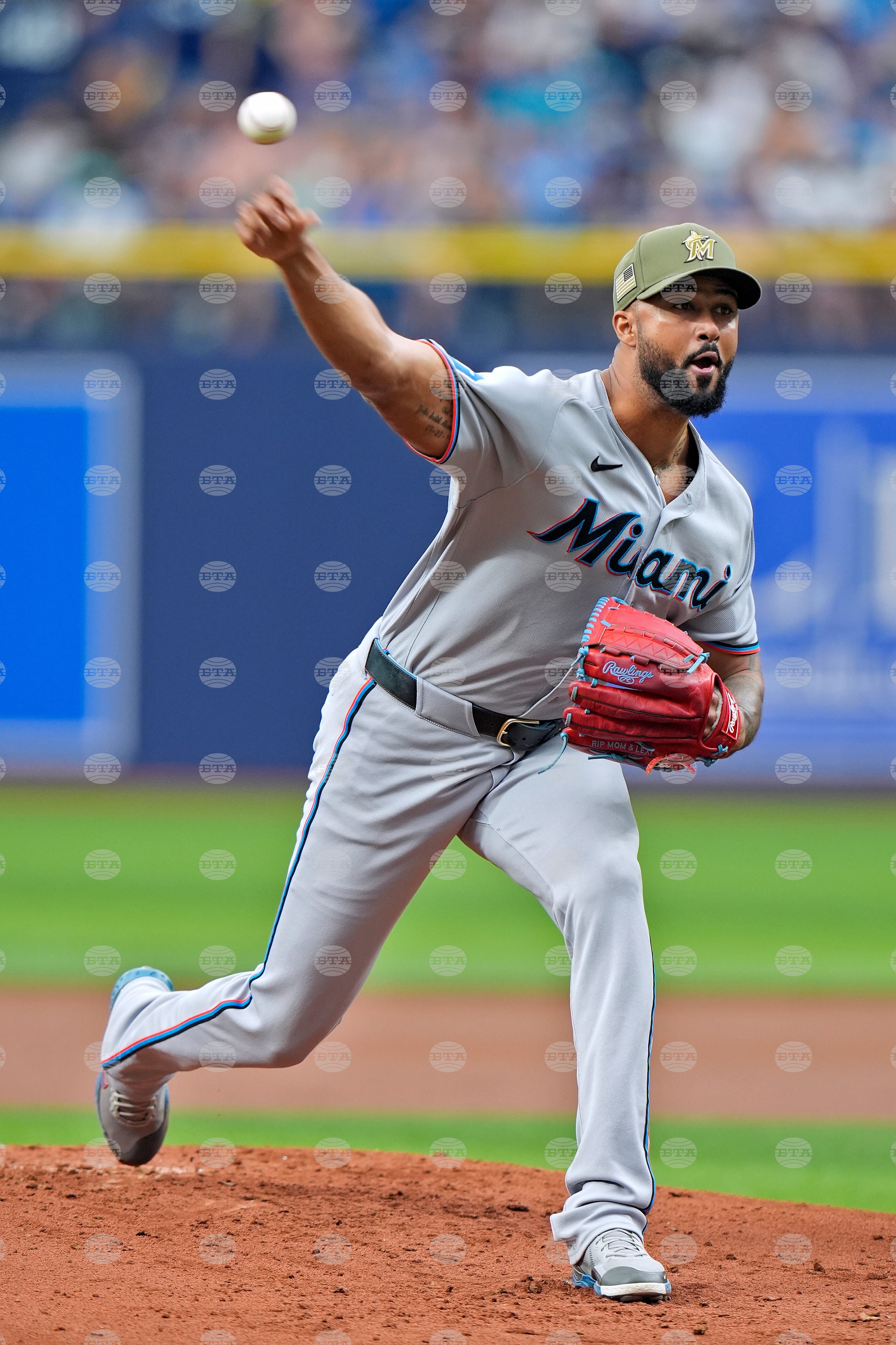 Marlins Rays Baseball