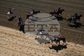 Preakness Horse Racing