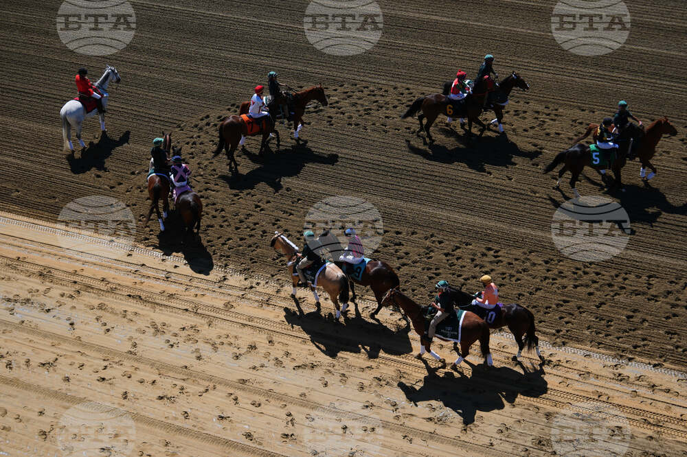 Preakness Horse Racing
