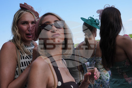 Preakness Horse Racing