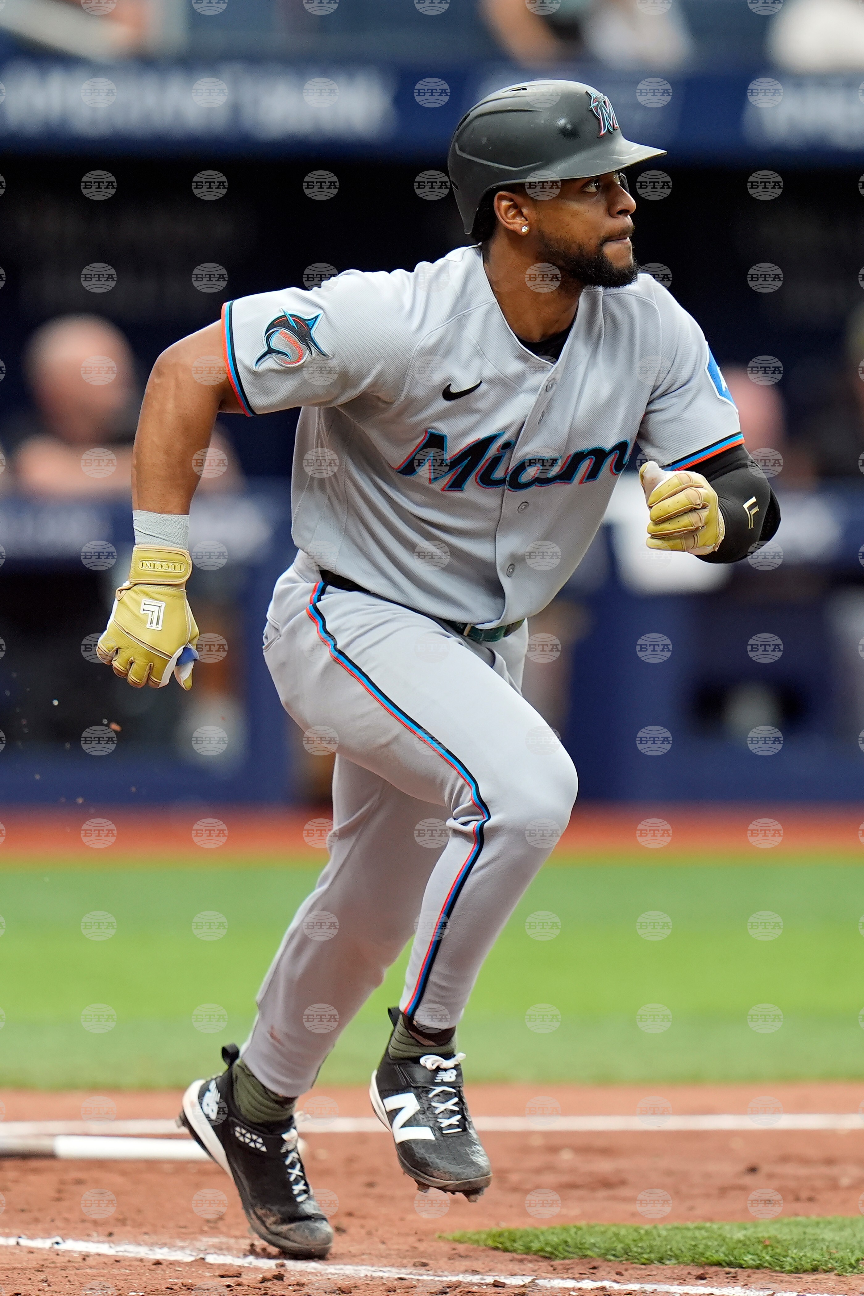 Marlins Rays Baseball