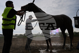 Preakness Horse Racing