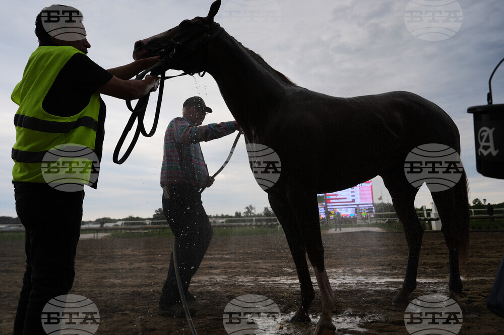 Preakness Horse Racing