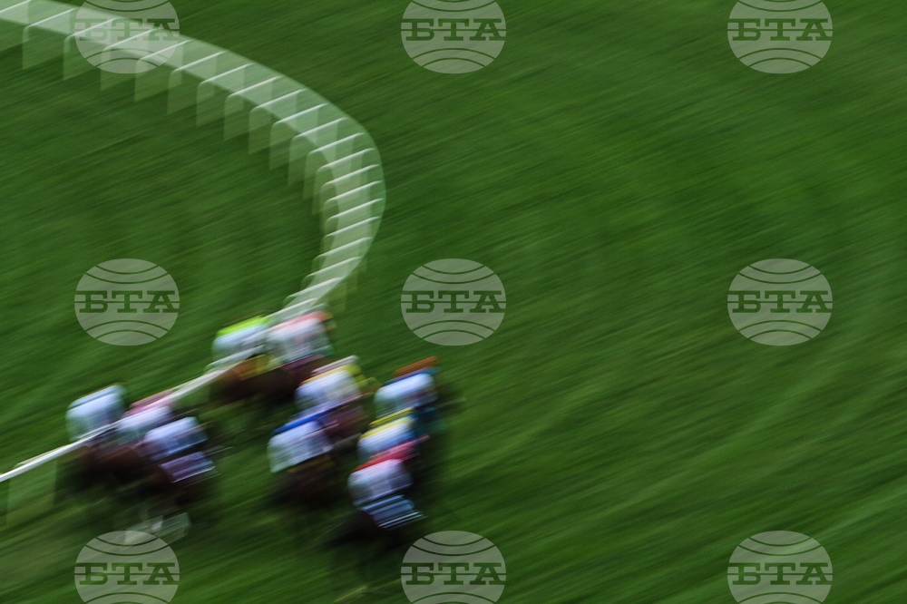 Preakness Horse Racing