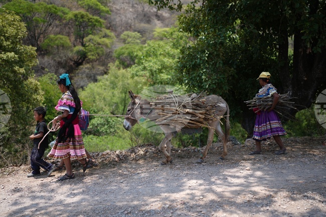 Mexico Daily Life