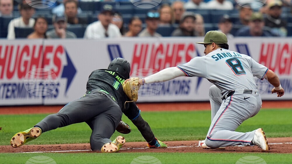 Marlins Rays Baseball