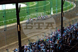 Preakness Horse Racing