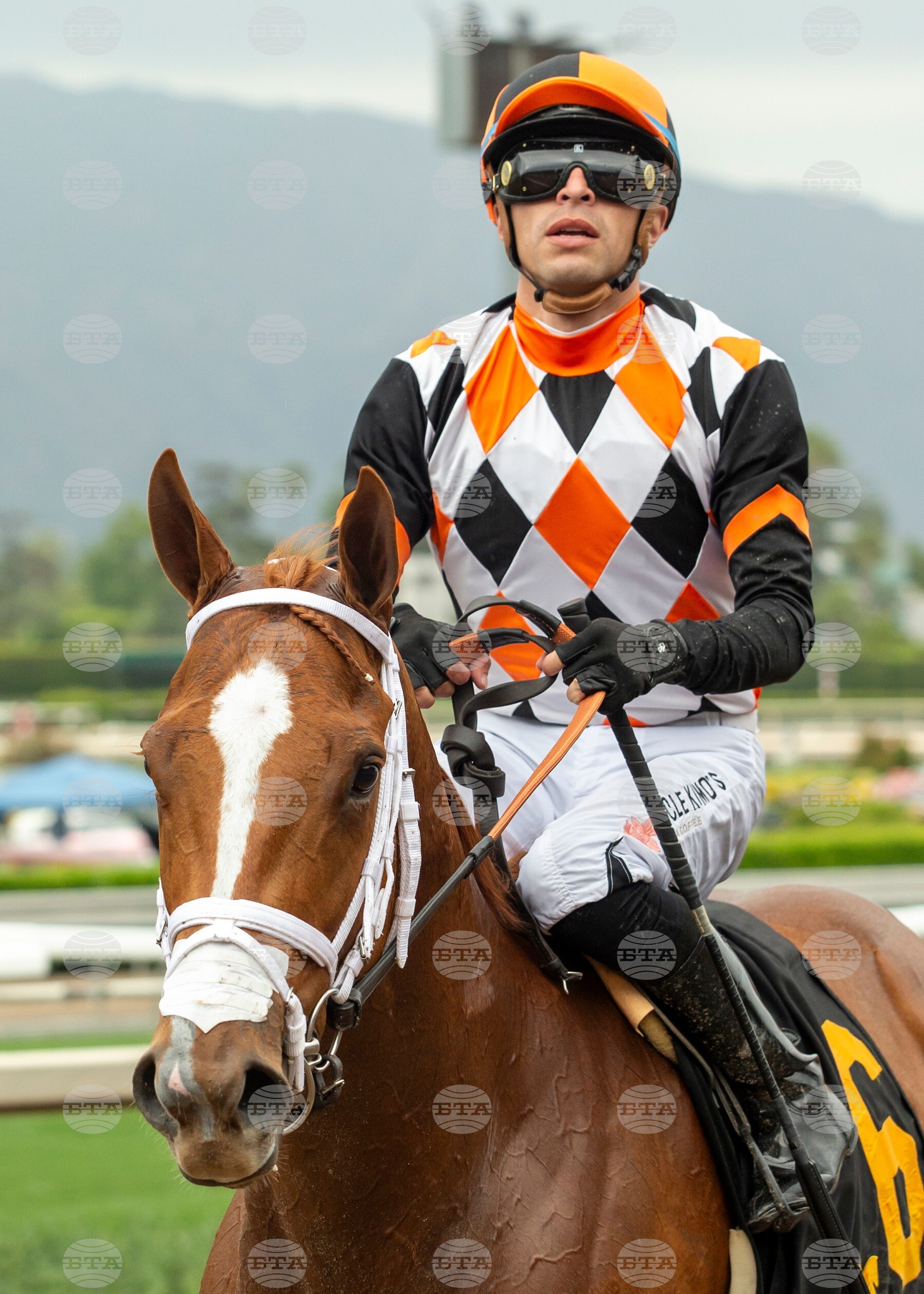 Santa Anita Horse Racing