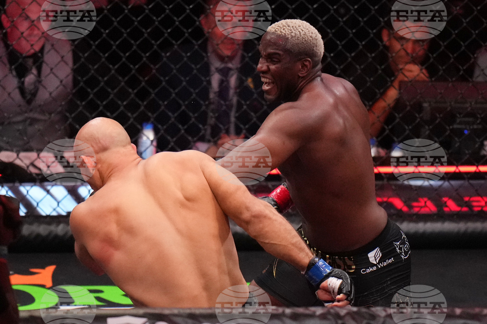 Despaigne Dos Santos Mixed Martial Arts