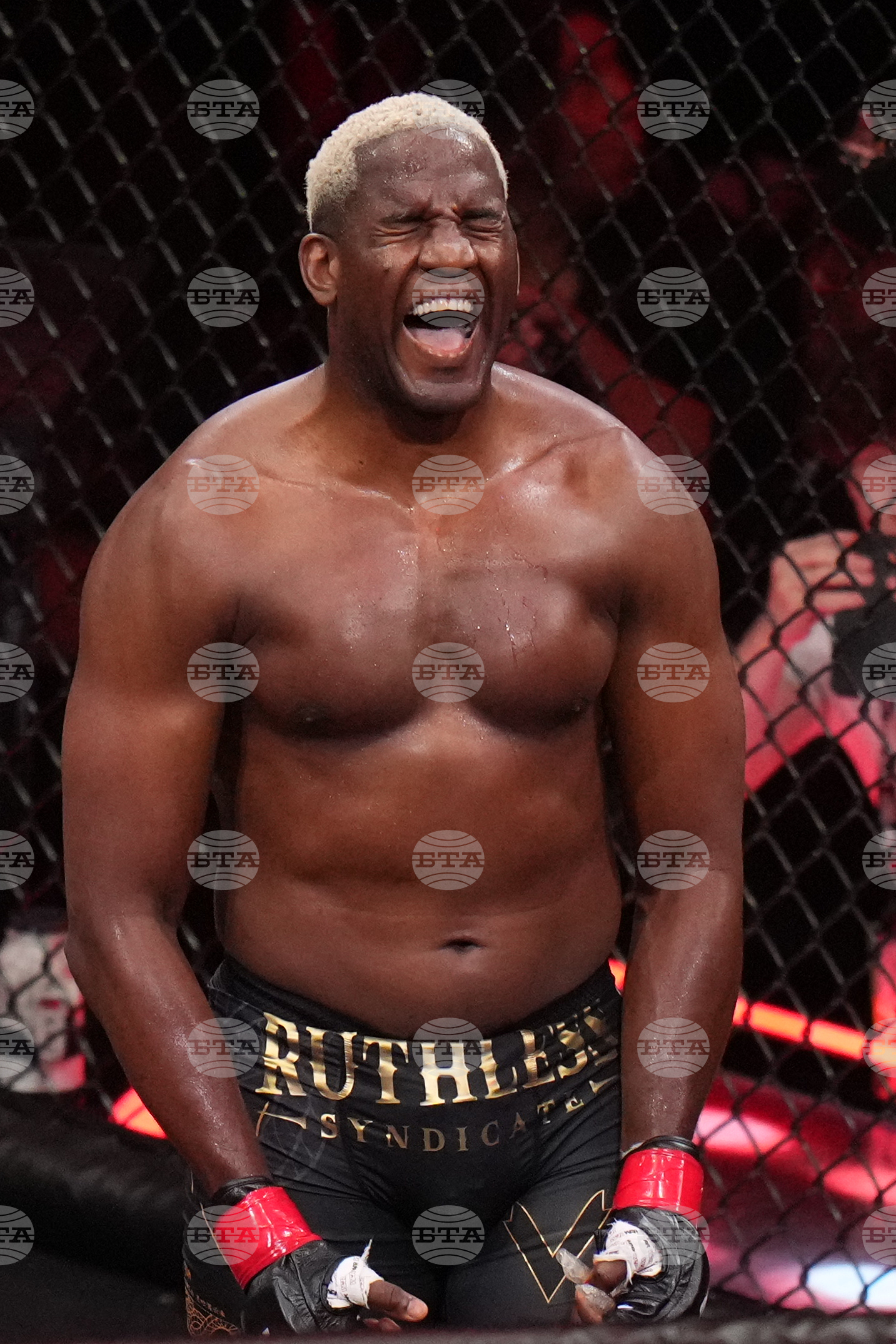 Despaigne Dos Santos Mixed Martial Arts