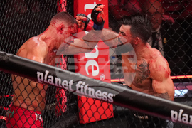 Diaz Perry Mixed Martial Arts