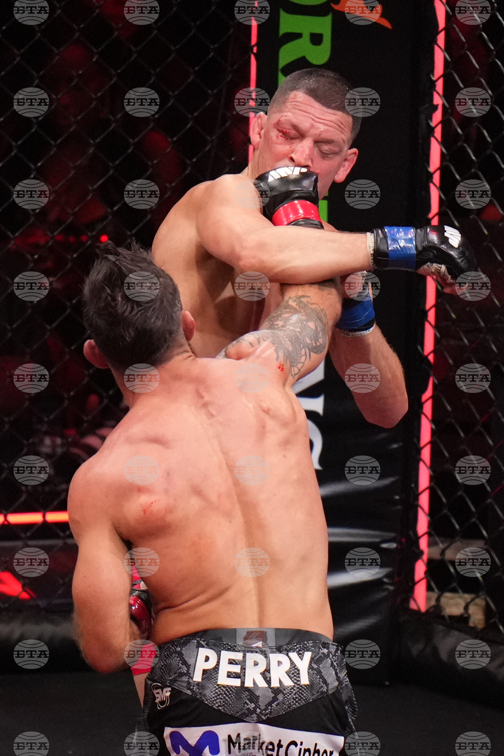 Diaz Perry Mixed Martial Arts