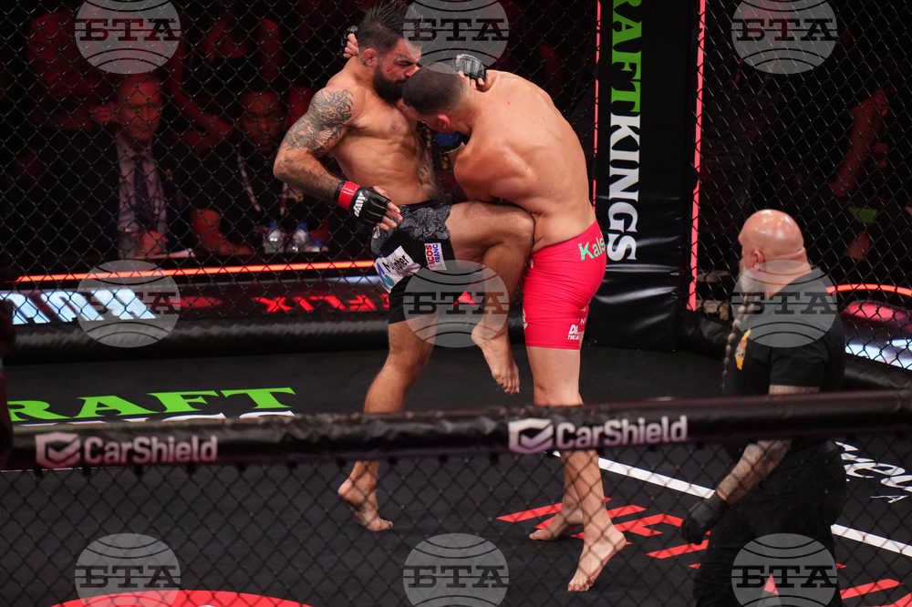 Diaz Perry Mixed Martial Arts