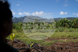 Hawaii Flooding Small Farms