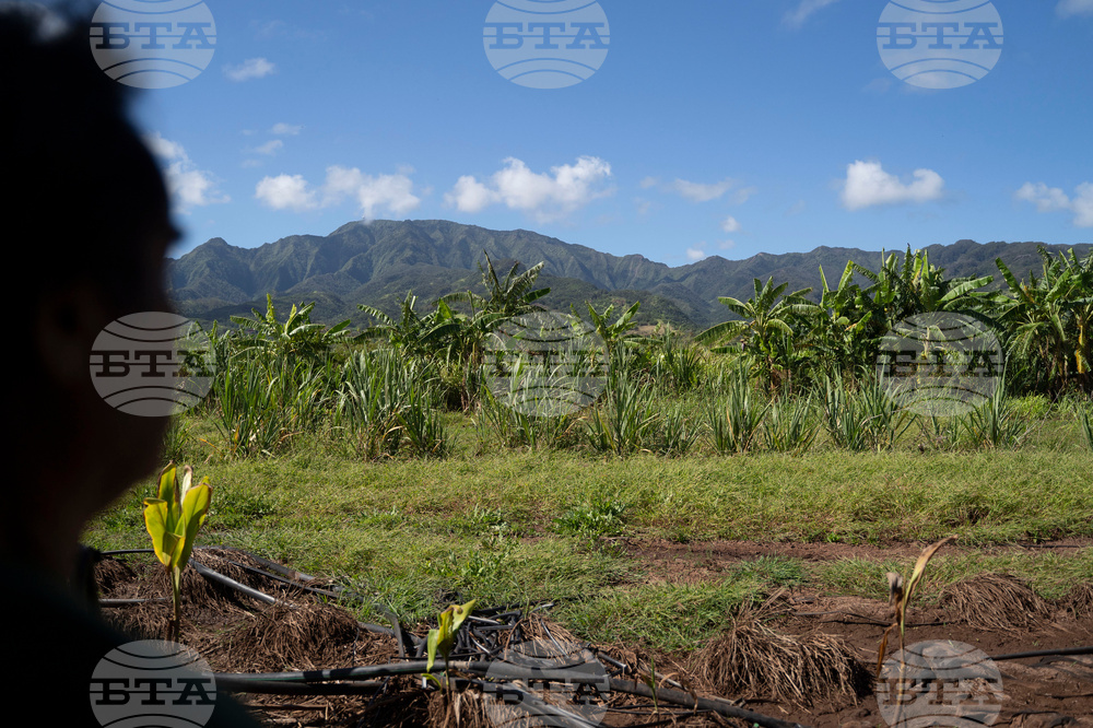 Hawaii Flooding Small Farms