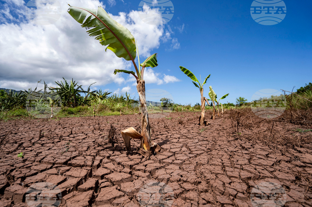 Hawaii Flooding Small Farms