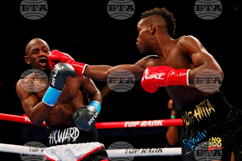 Howard Crocklem Boxing