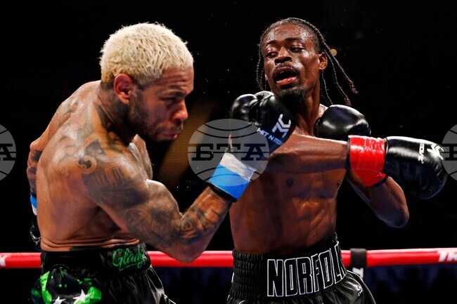 Davis Dobson Boxing