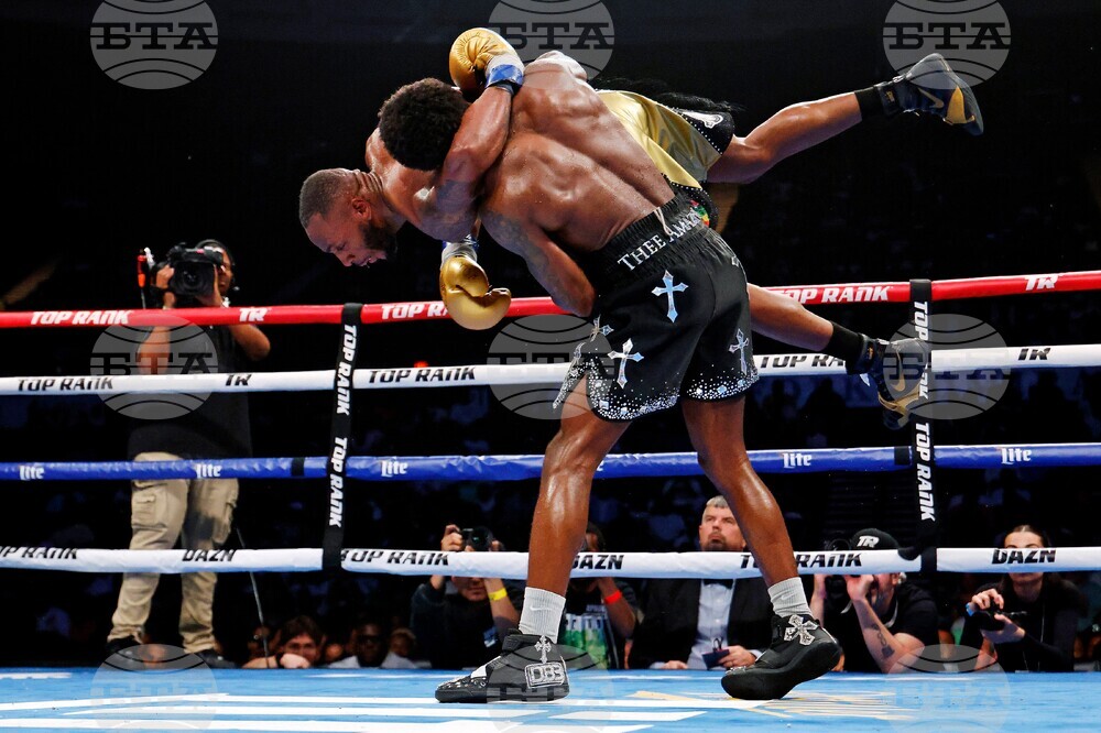 Davis Albright Boxing