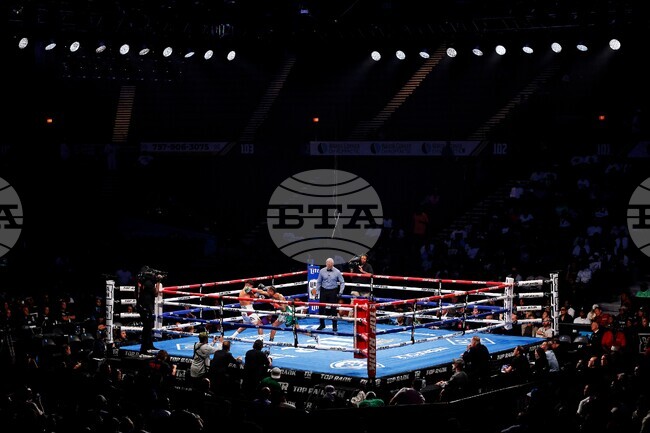 Chacon Santana Boxing