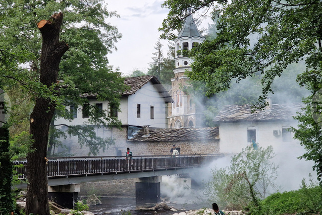 Observances: May 19