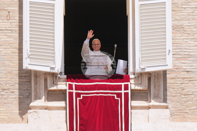 Vatican Pope