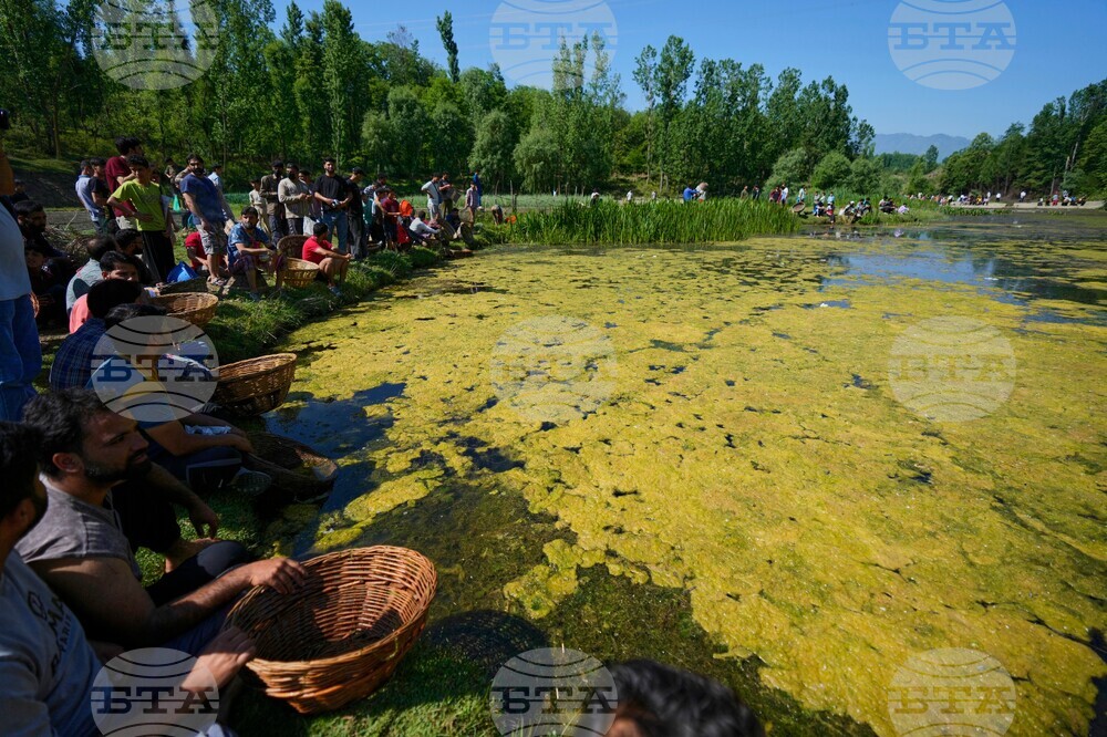 India Kashmir Fish Festival