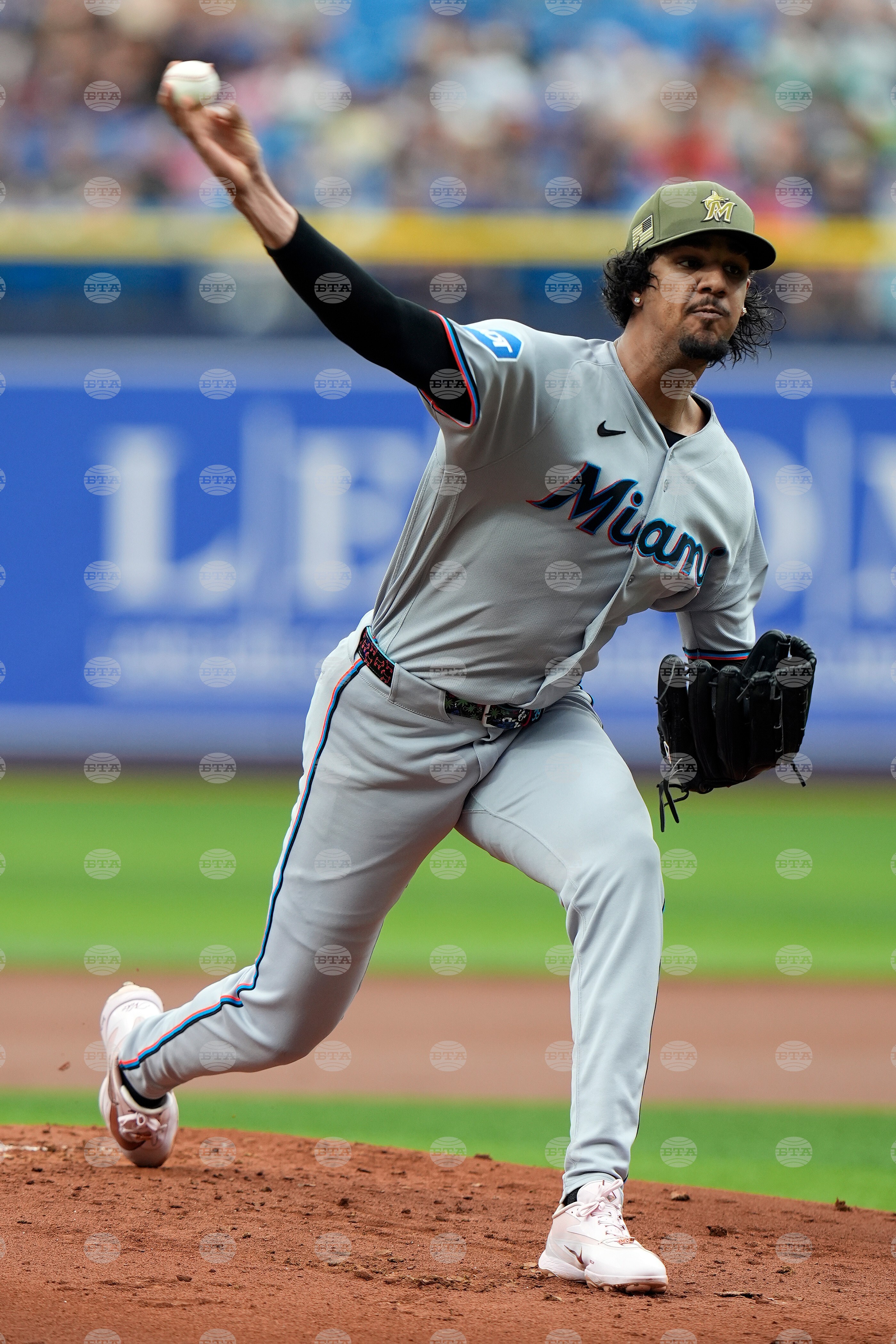 Marlins Rays Baseball