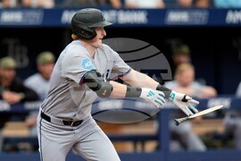 Marlins Rays Baseball