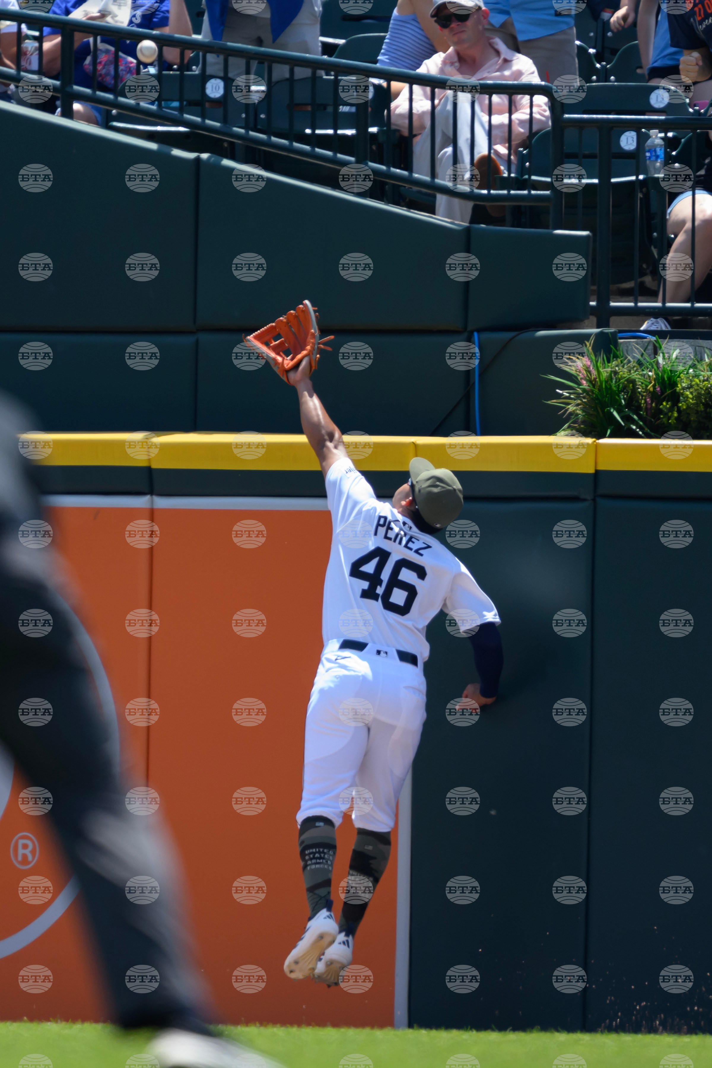 Blue Jays Tigers Baseball