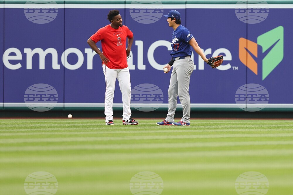 Dodgers Angels Baseball