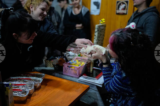 Argentina Rat Lovers