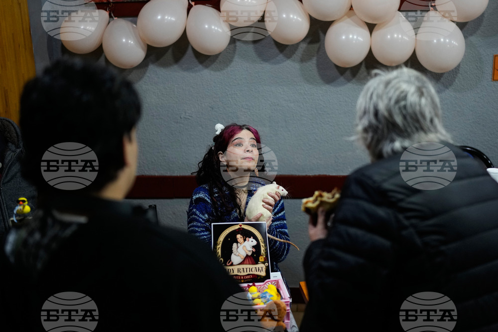 Argentina Rat Lovers