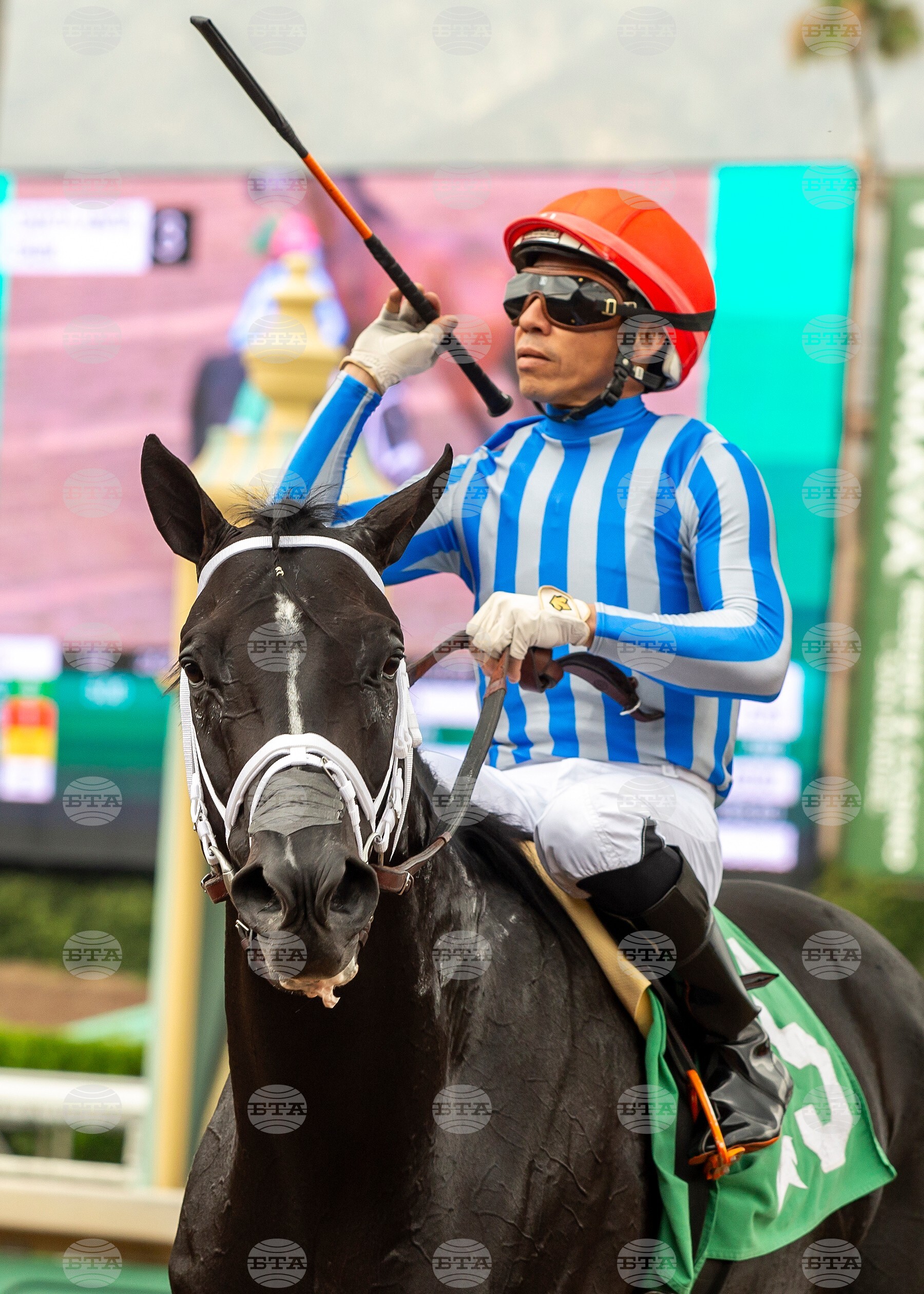 Santa Anita Horse Racing