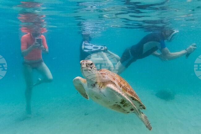 APTOPIX Curacao Tourism