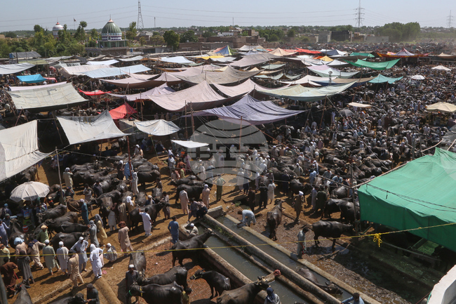 Pakistan Eid al-Adha