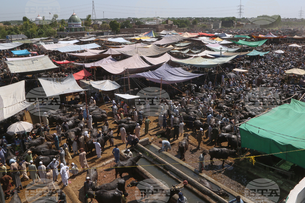 Pakistan Eid al-Adha