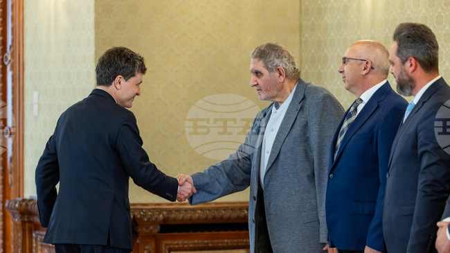 Възстановяване на коалиция около НЛП и СДП поискаха от парламентарната група на националните малцинства в Румъния на консултации с президента