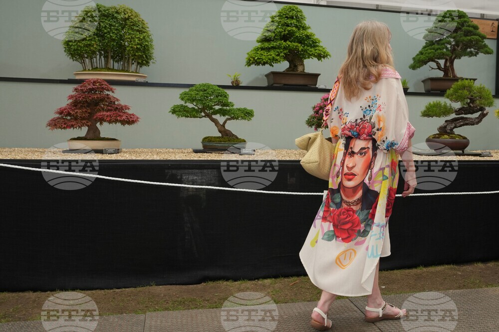 Britain Chelsea Flower Show