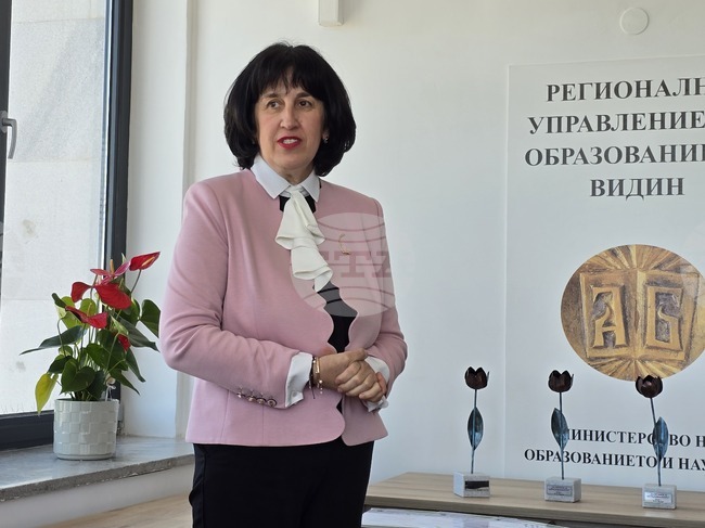 Близо 500 ученици, завършили седми клас от област Видин, кандидатстват за прием в гимназиите
