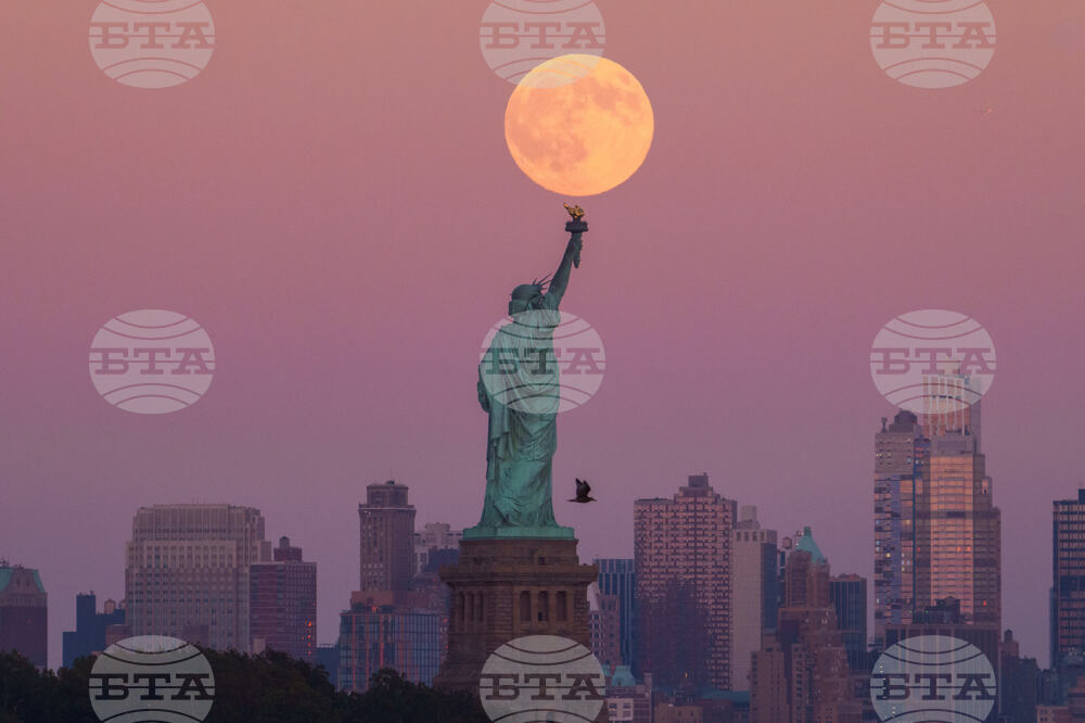 WCup New York Things To Know