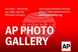 Iran War Mass Wedding Photo Gallery