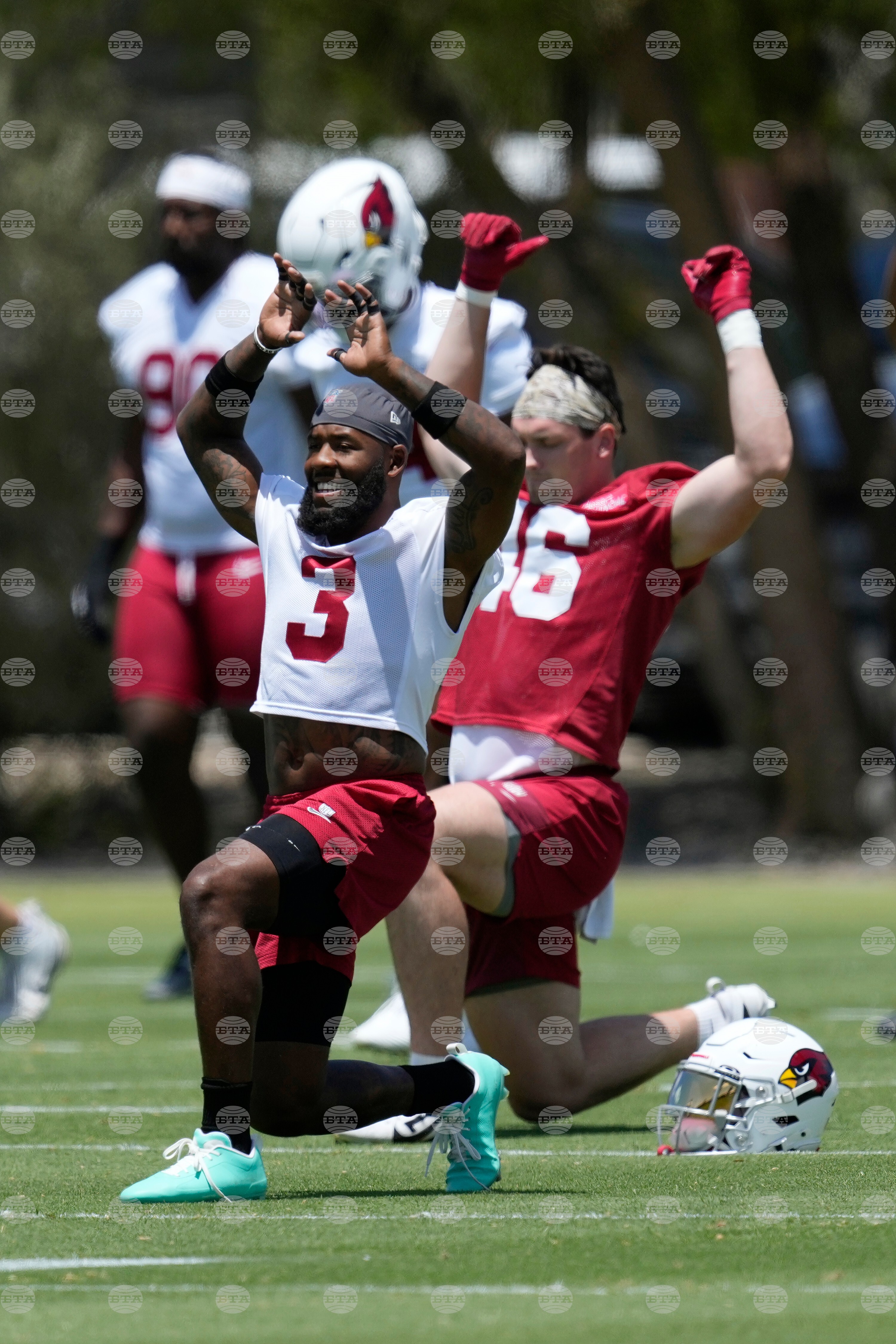 Cardinals Football