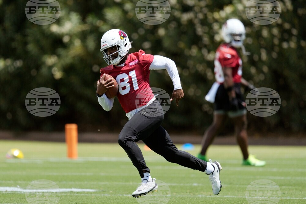 Cardinals Football